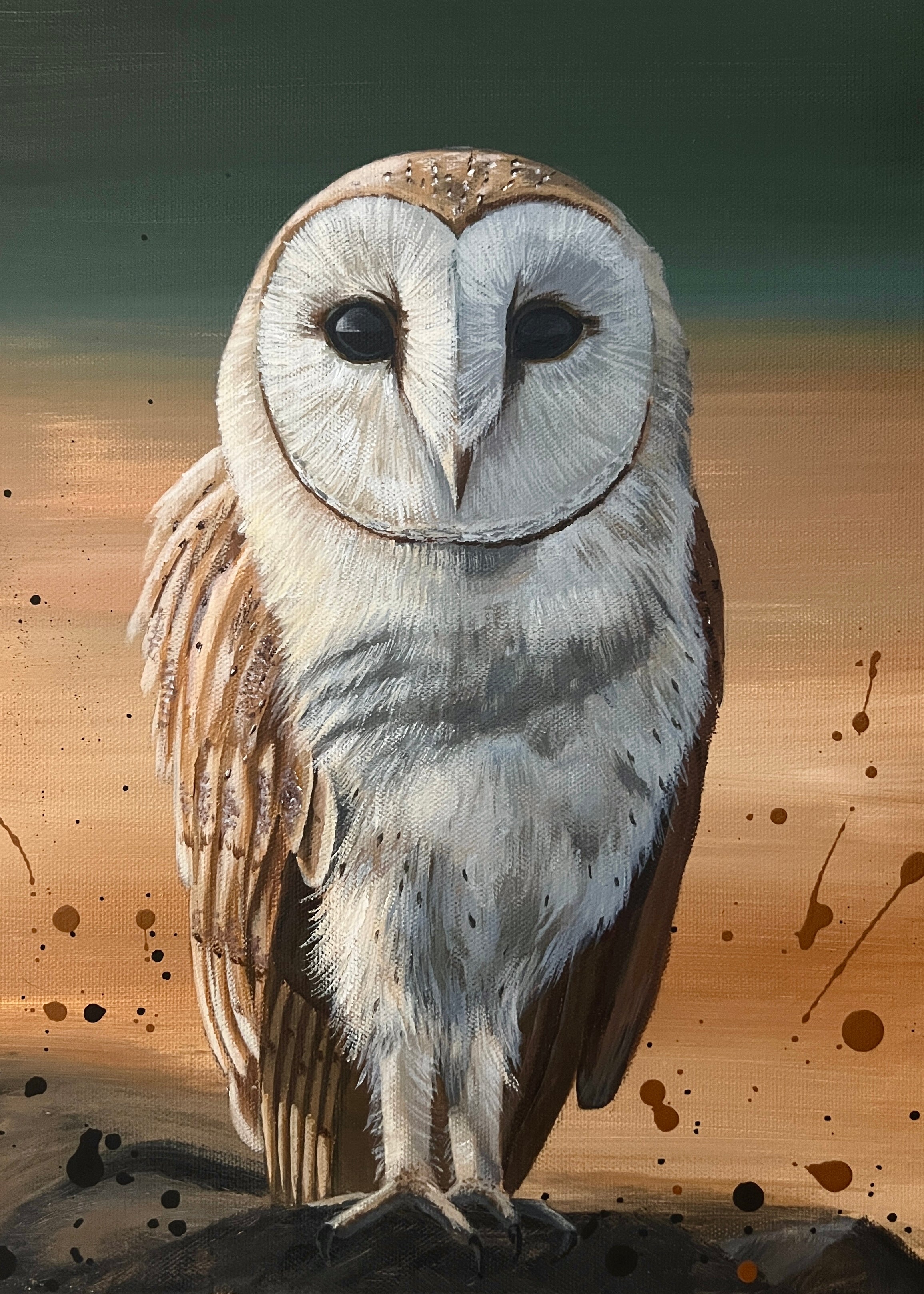 Barn Owl Prints