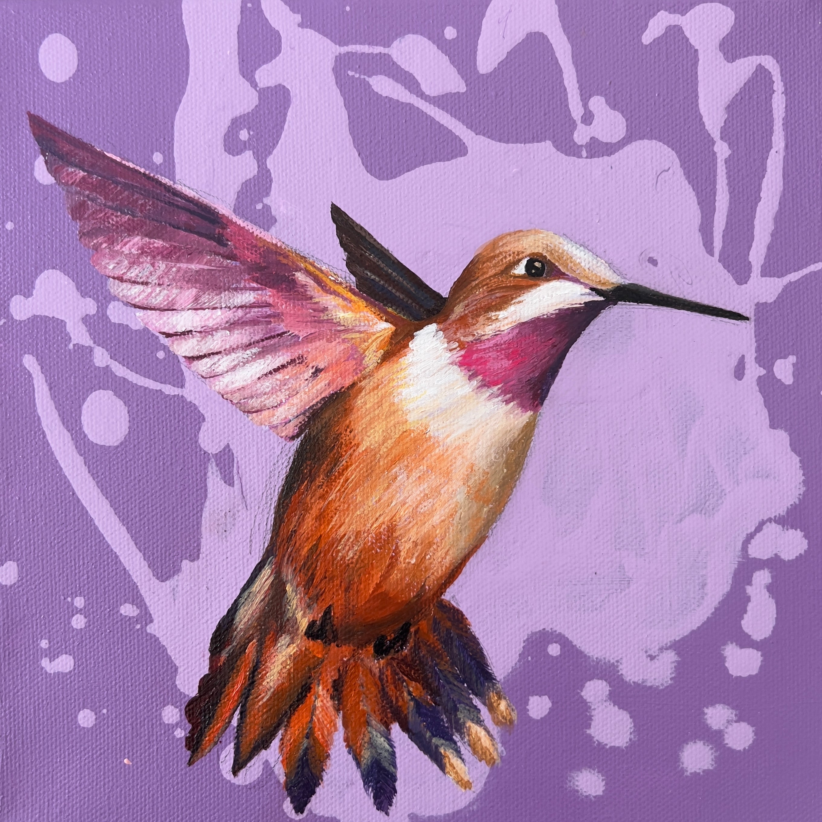 Rufous Hummingbird