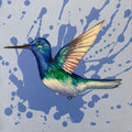 White Necked Jacobin Hummingbird