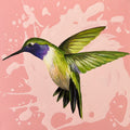 Purple throated Hummingbird