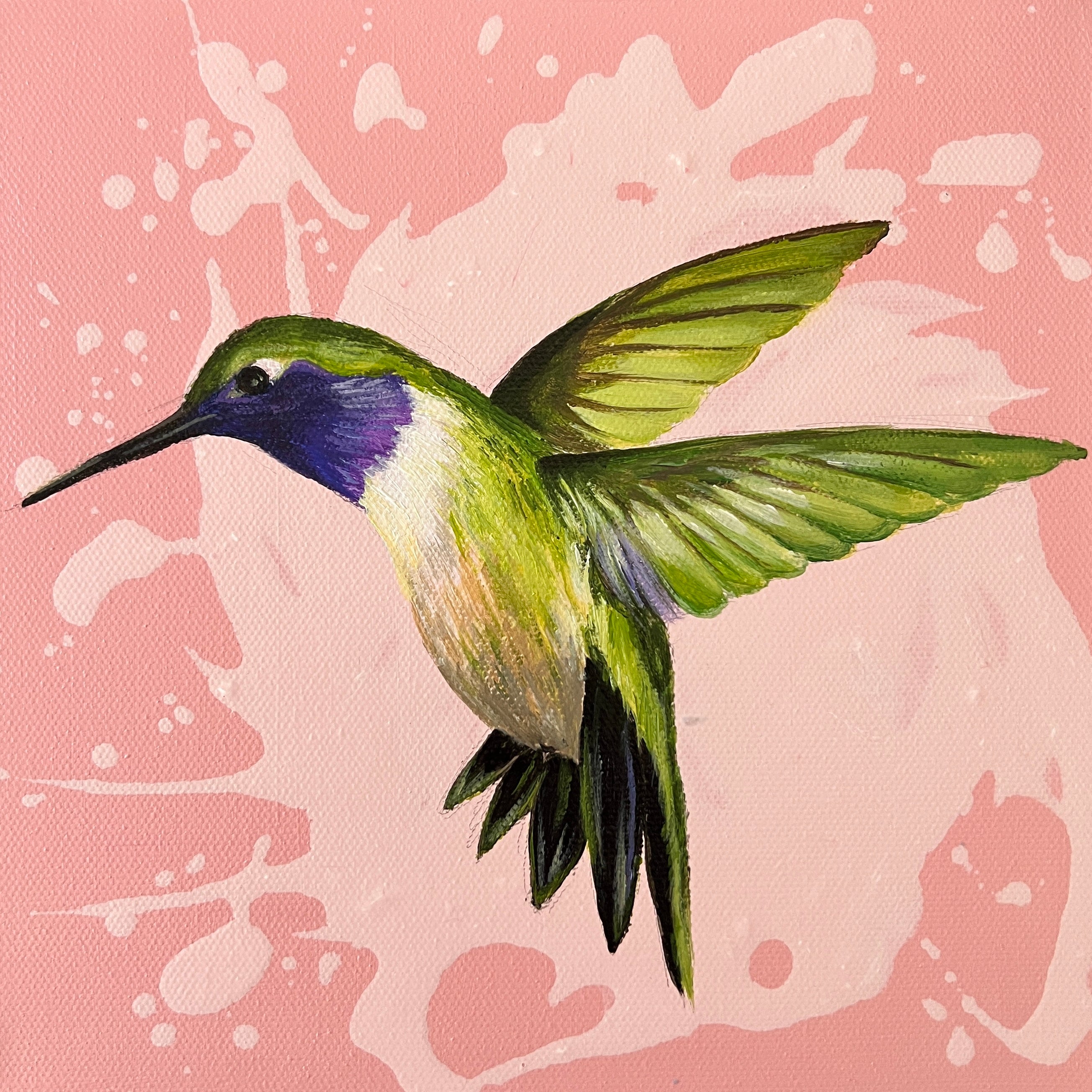 Purple throated Hummingbird