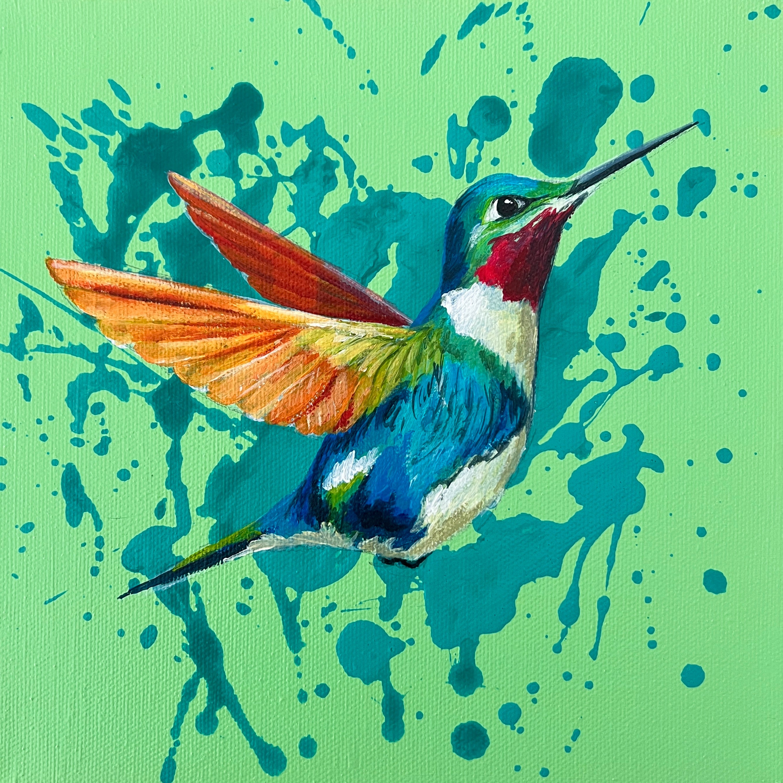 Ruby throated hummingbird
