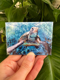 Magnets Sea turtle