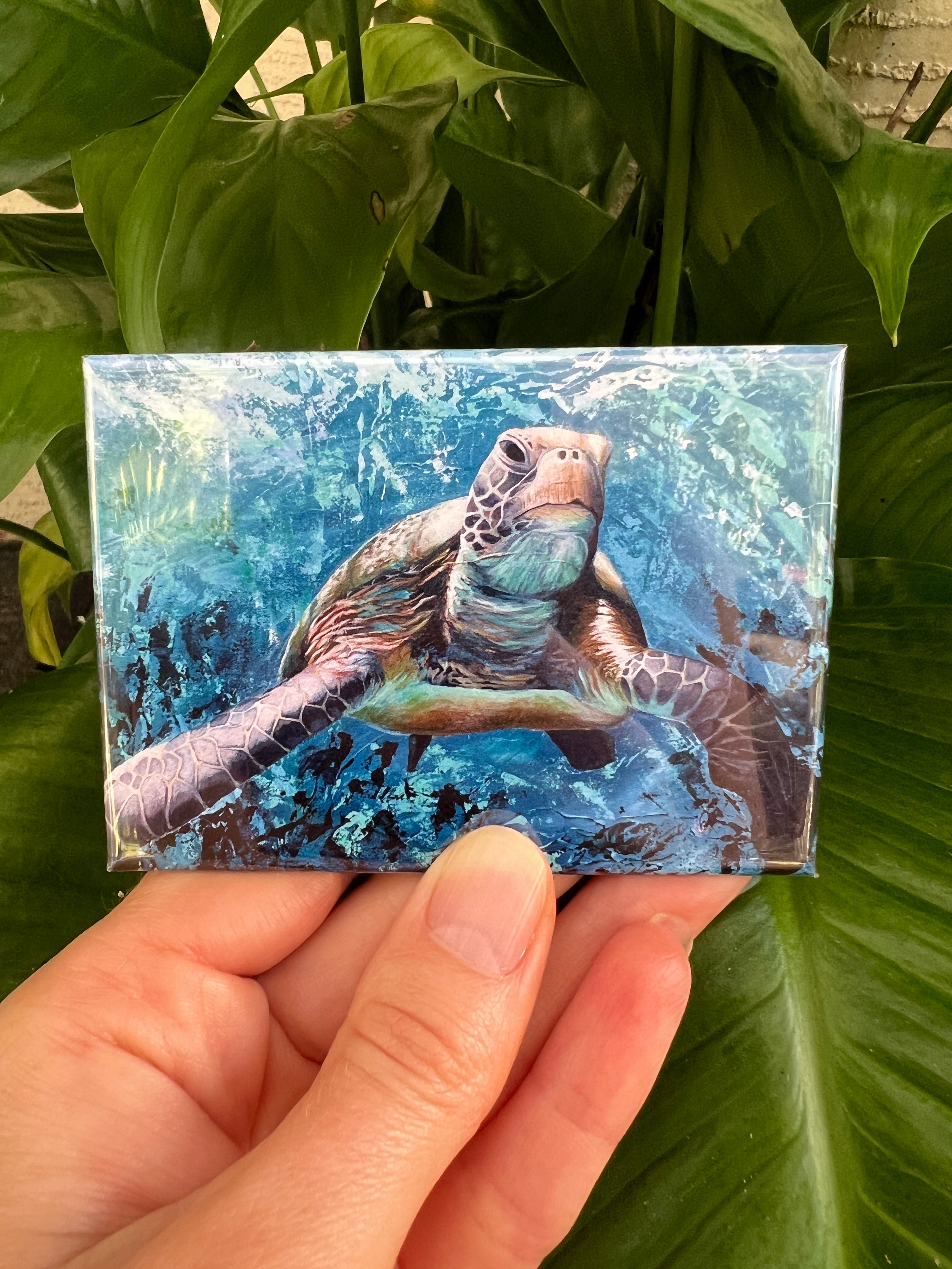 Magnets Sea turtle