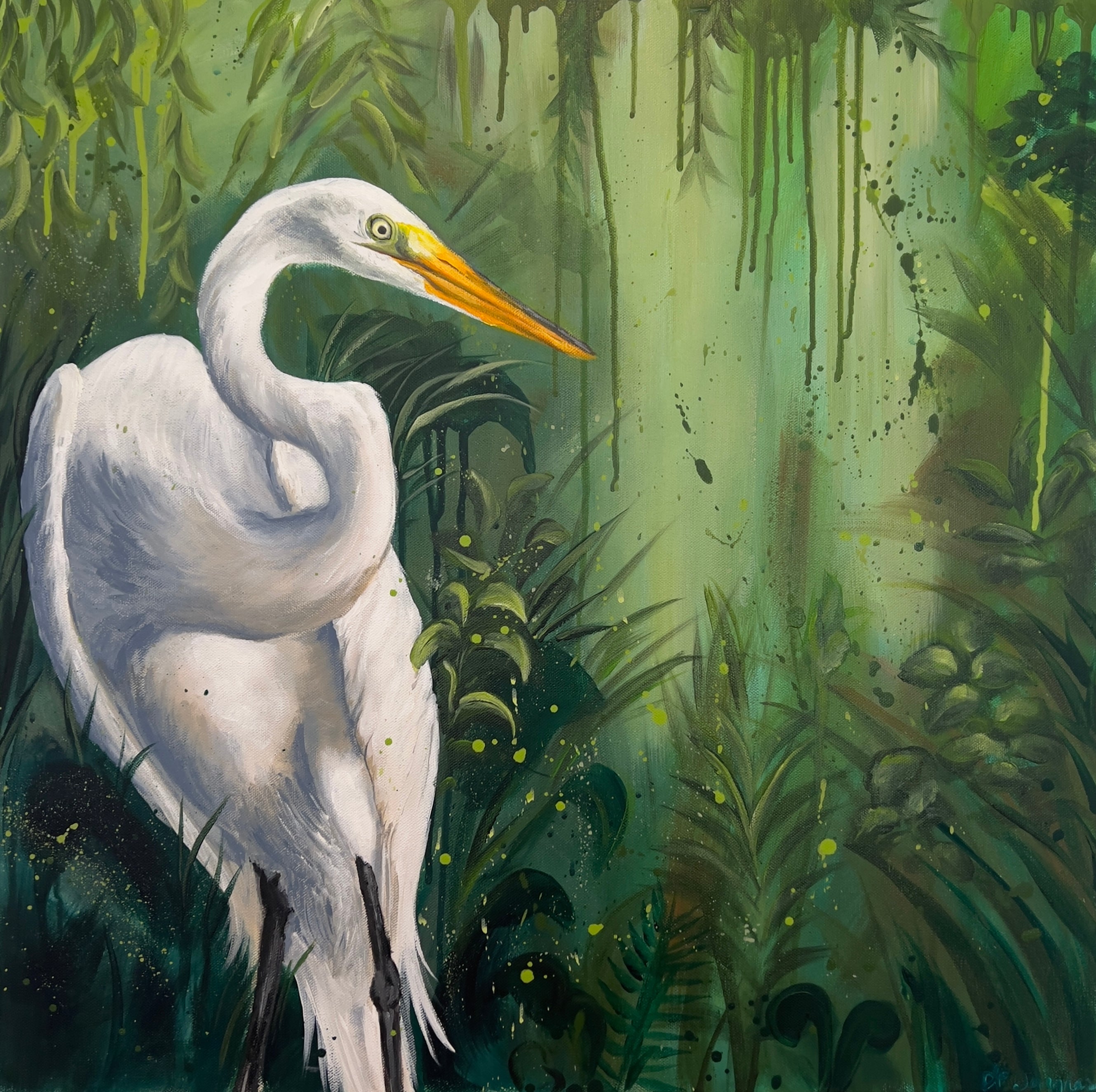 Great White Egret