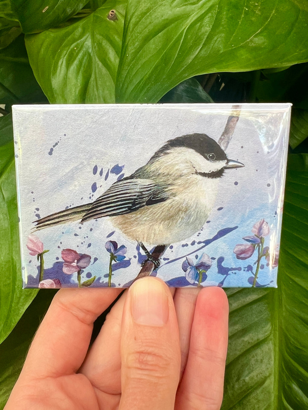 Magnets Chickadee