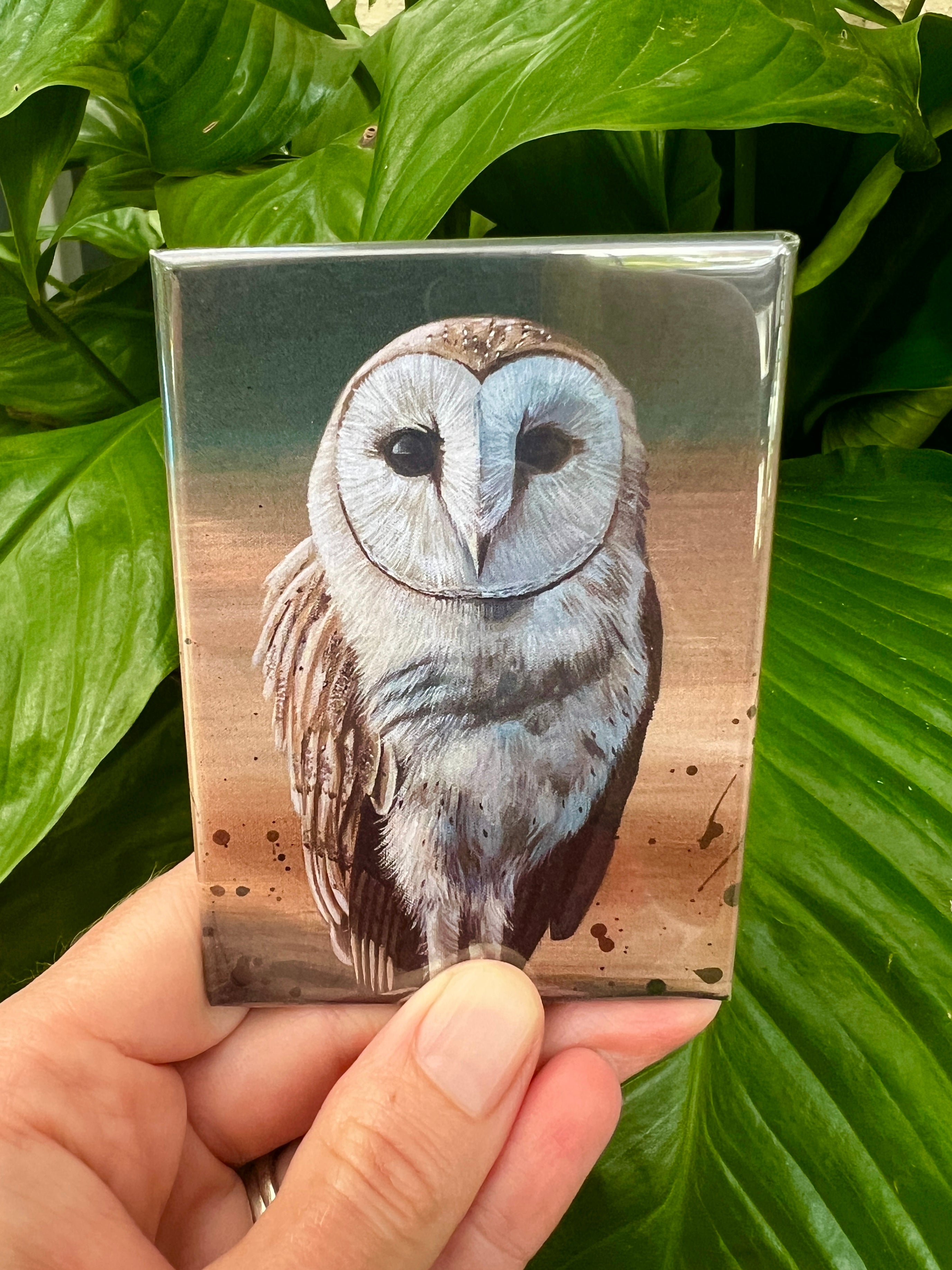 Magnets Barn Owl