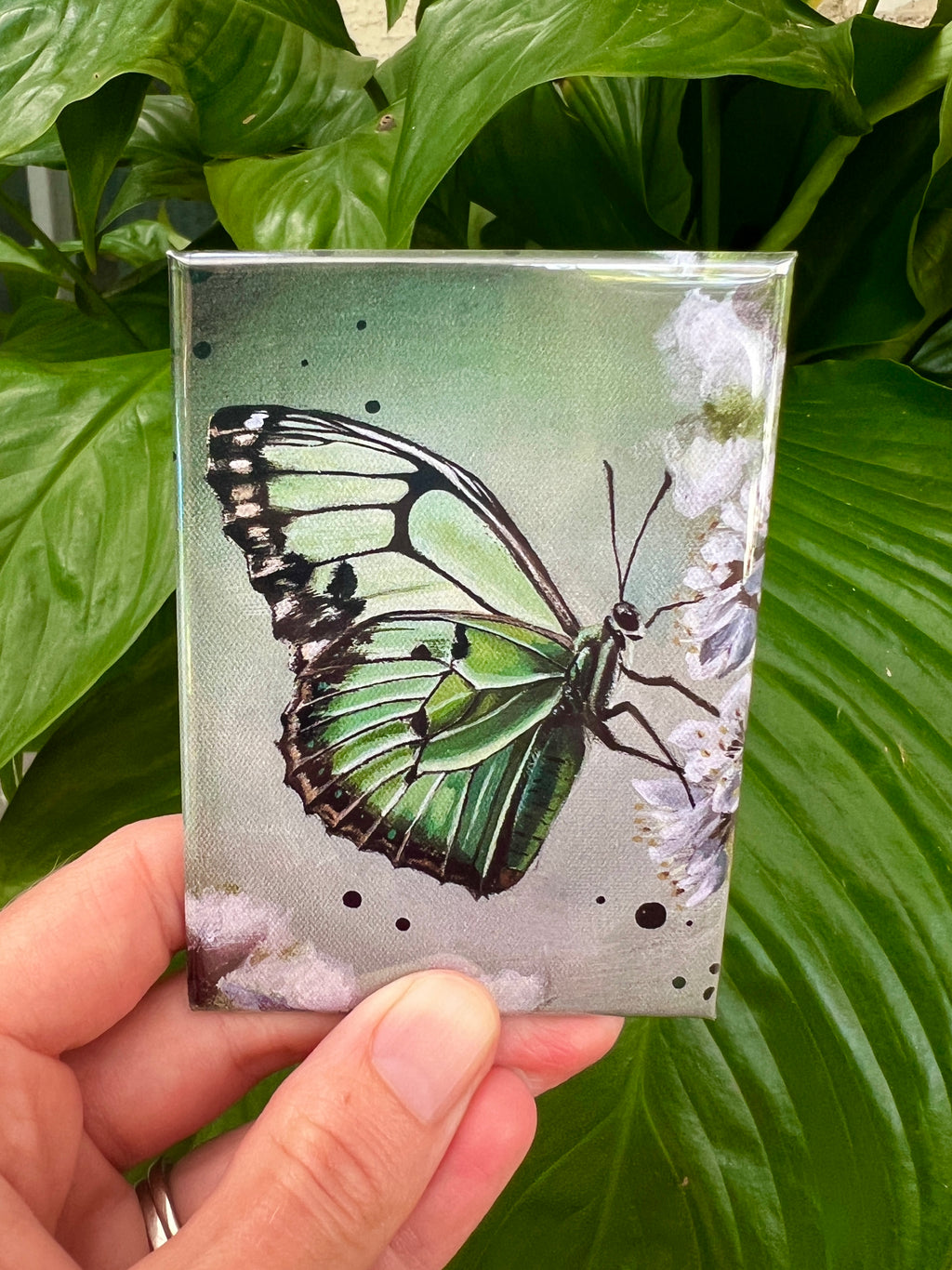 Magnets Green butterfly