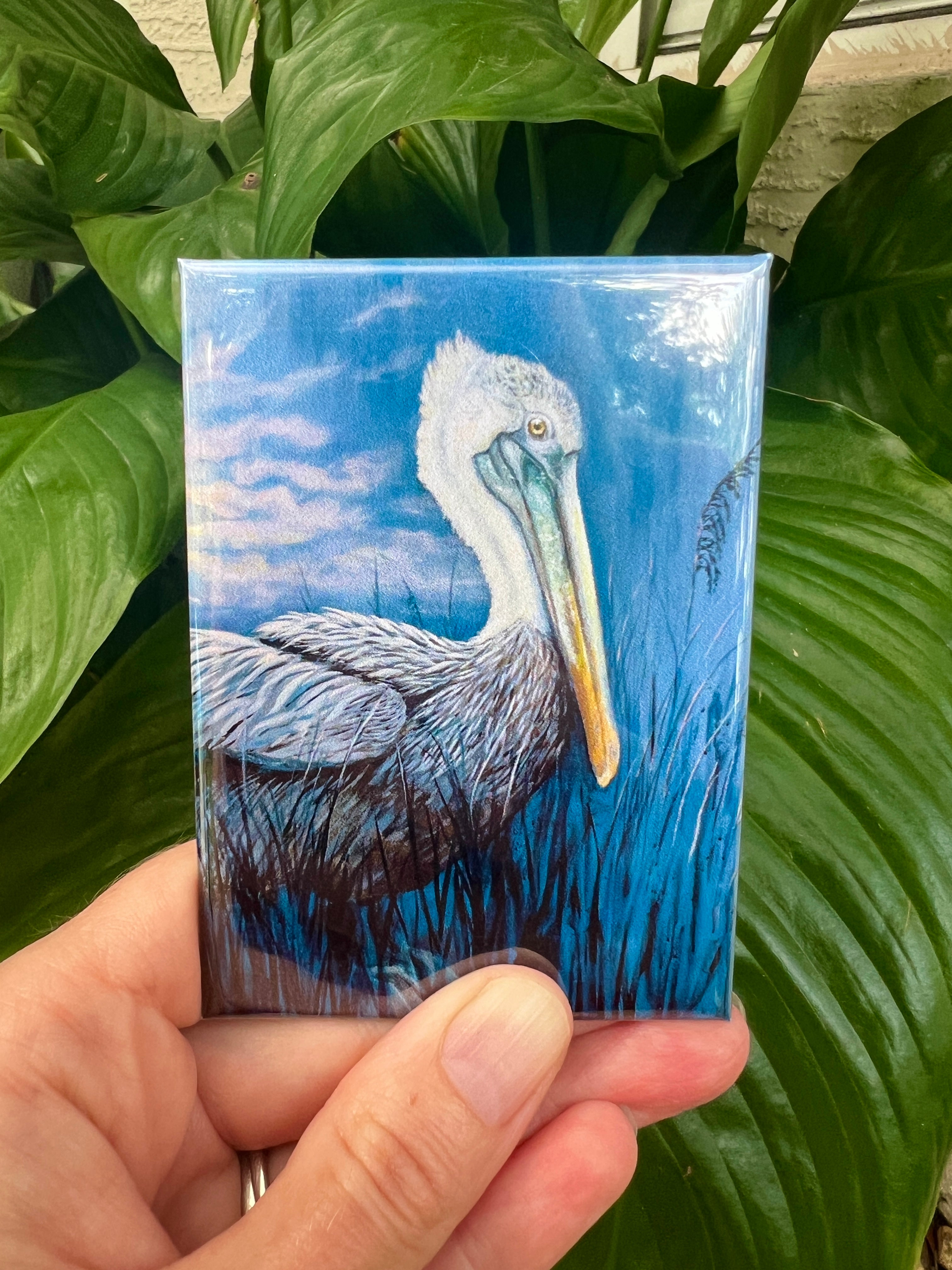 Magnets Pelican