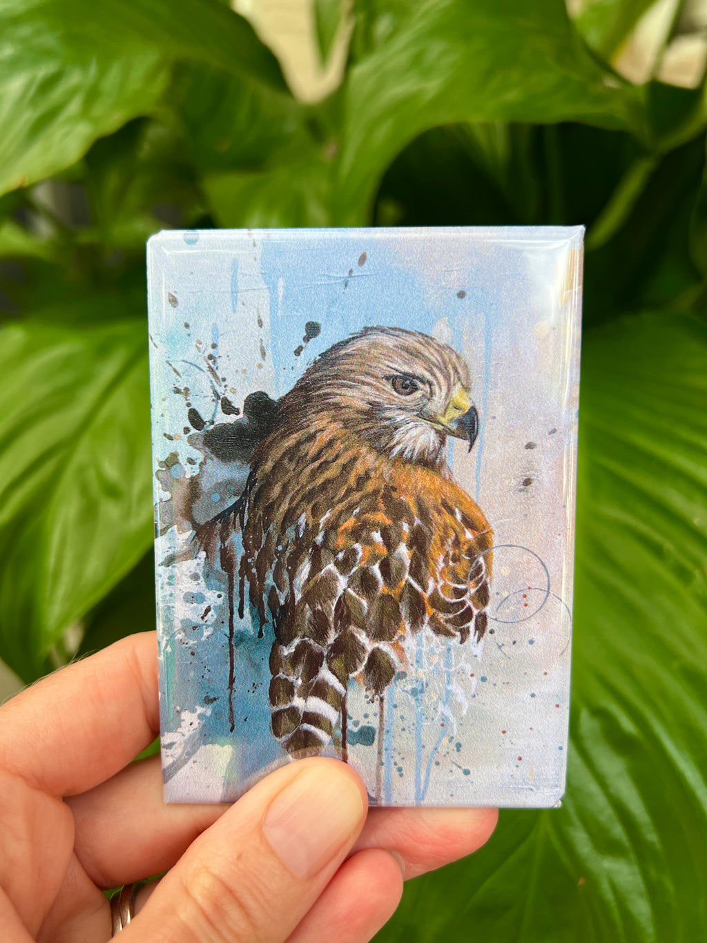 Magnets Hawk