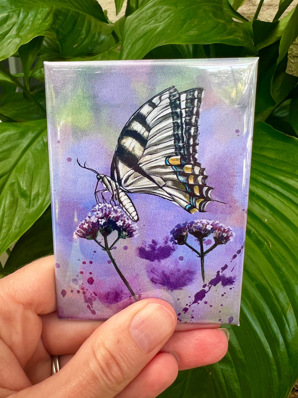 Magnets Purple butterfly