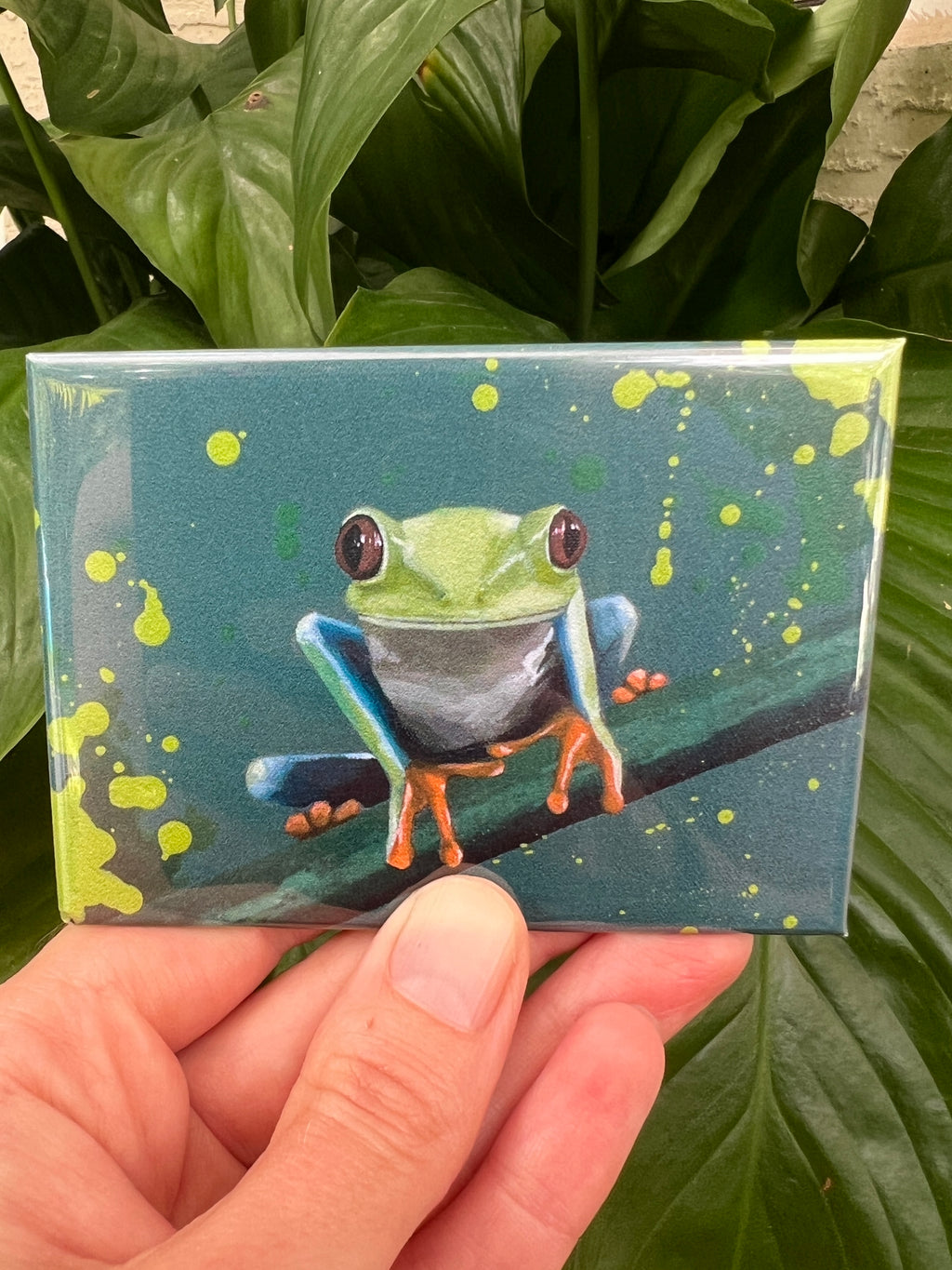 Magnets Tree frog