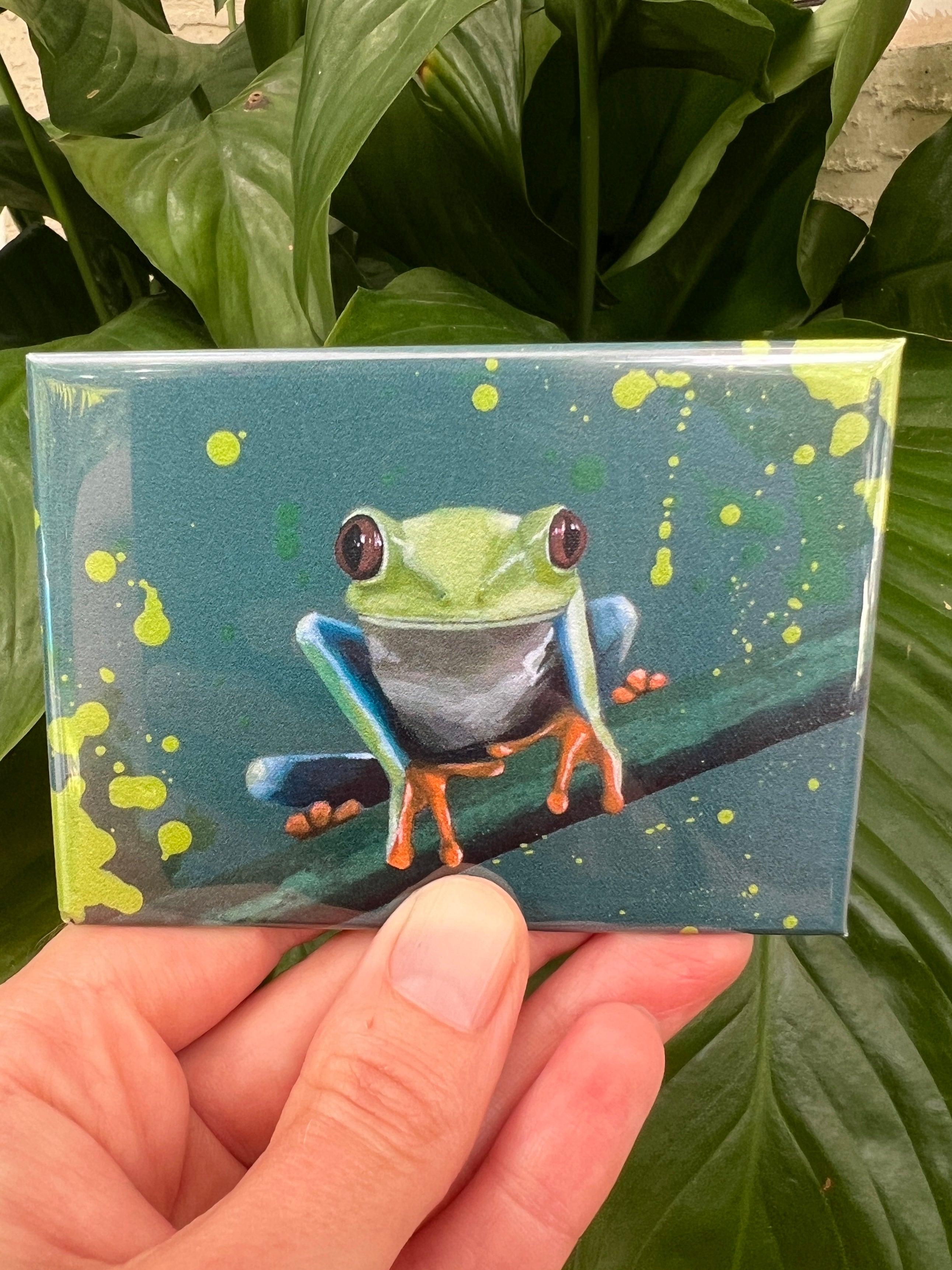 Magnets Tree frog