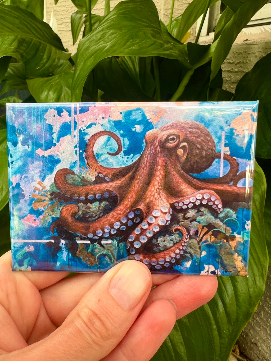 Magnets Octopus