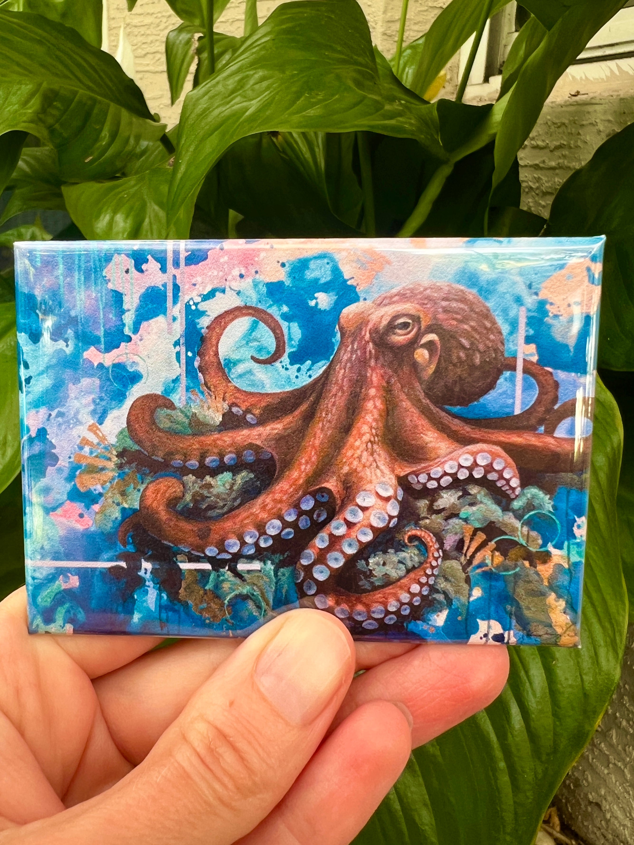 Magnets Octopus