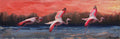 Flamingo Flight