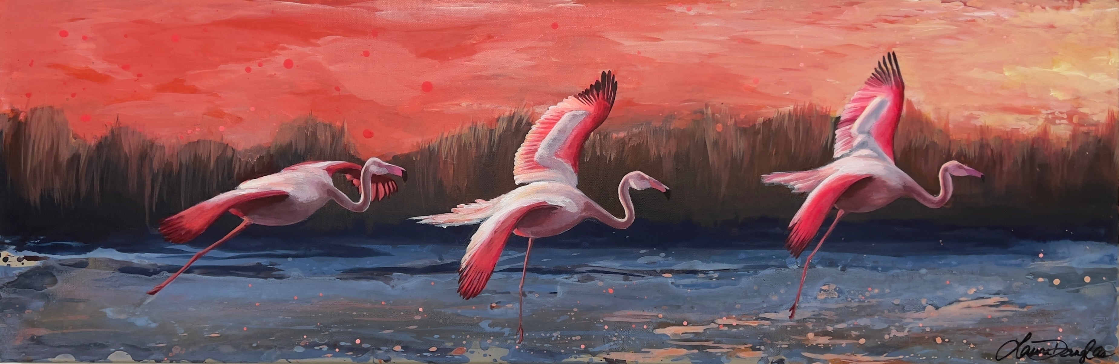 Flamingo Flight