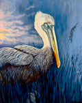 Pelican