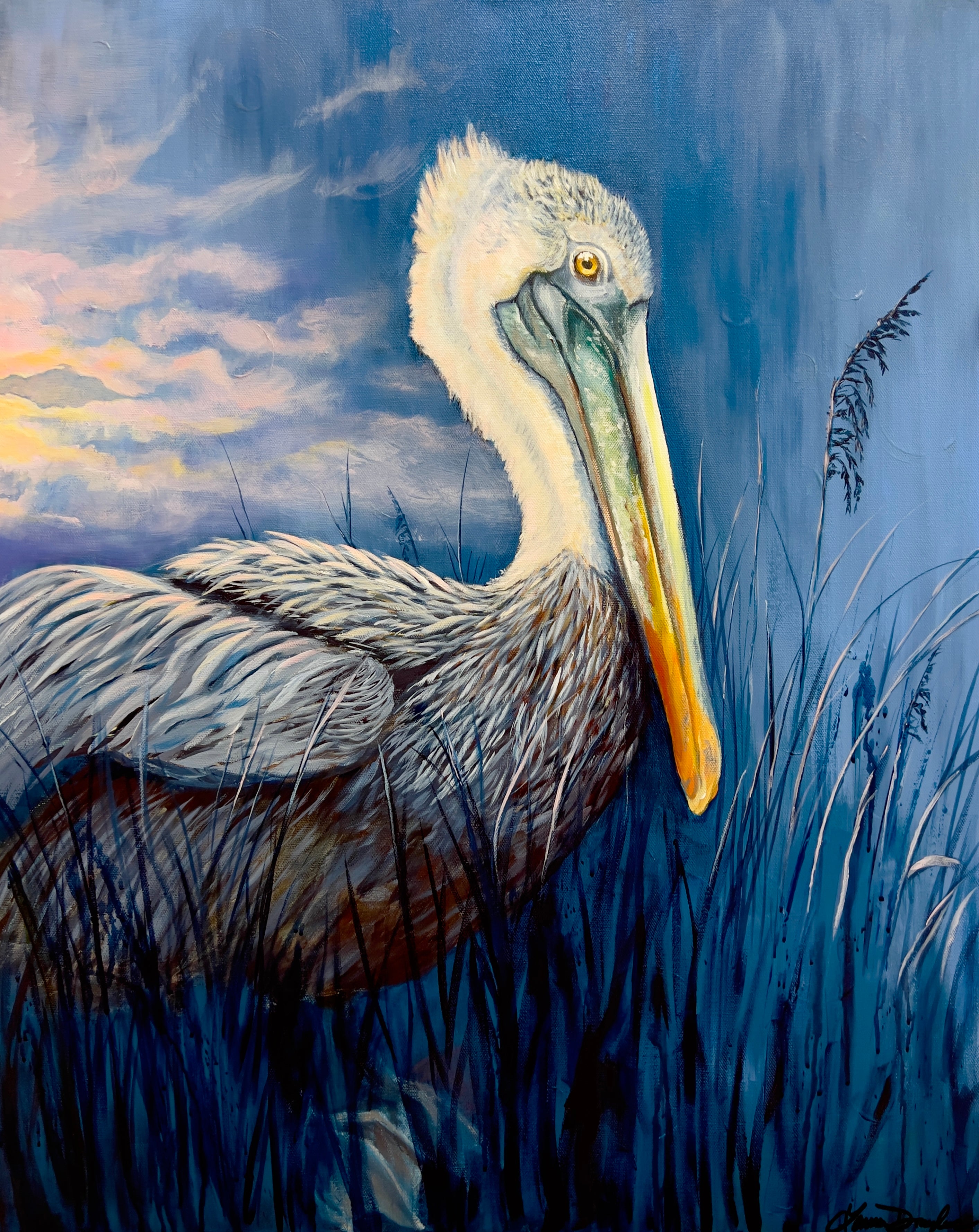 Pelican